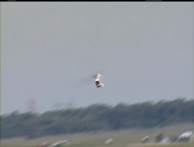 ファイル名: NONALNUM-4952434841A1A6A5D8A5EAA5B8A5E3A5F3A5DCA5EAA1C1A3B2A3B0A3B0A3B72E617669303033343135363739.jpg
ファイルサイズ: 15.4KB NONALNUM-4952434841A1A6A5D8A5EAA5B8A5E3A5F3A5DCA5EAA1C1A3B2A3B0A3B0A3B72E617669303033343135363739