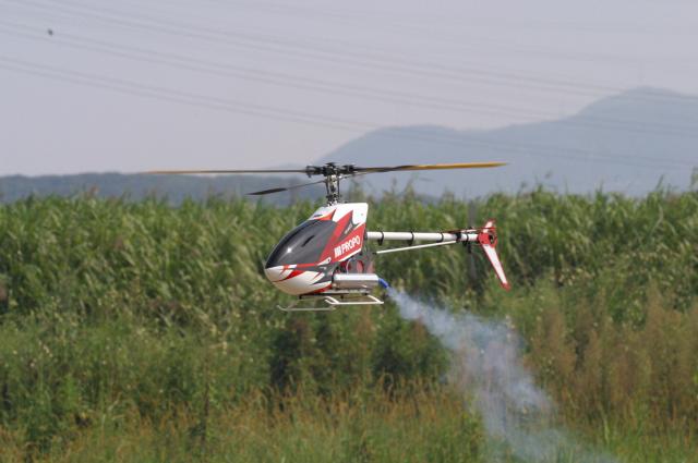 ファイル名: IMG1561.jpg
ファイルサイズ: 31.5KB IMG1561