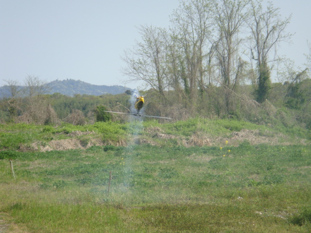 ファイル名: DSC00723.jpg
ファイルサイズ: 131.9KB DSC00723