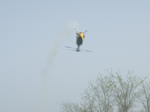 ファイル名: DSC00725.jpg
ファイルサイズ: 112KB DSC00725