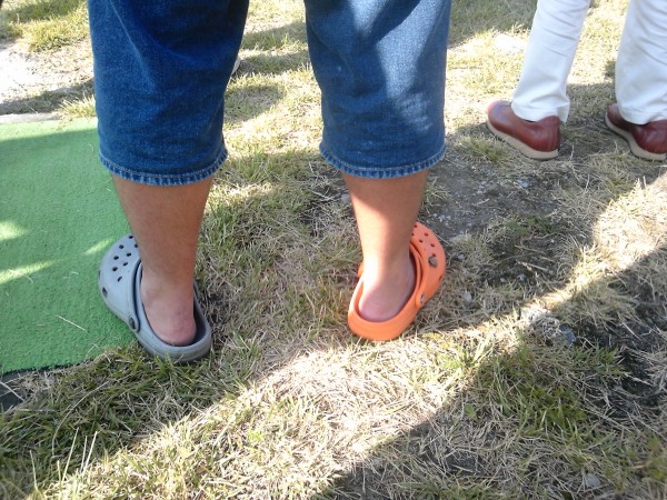 ファイル名: SH3F0637.jpg
ファイルサイズ: 123.3KB SH3F0637