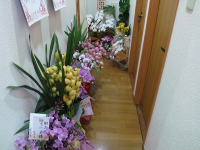 ファイル名: SH3K0062.jpg
ファイルサイズ: 42.5KB SH3K0062