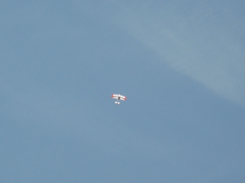 img_558340_12275168_1