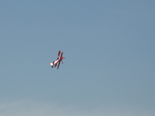 img_558340_12275168_5