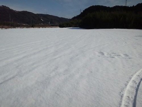 ファイル名: SH3K1445.jpg
ファイルサイズ: 33.9KB SH3K1445