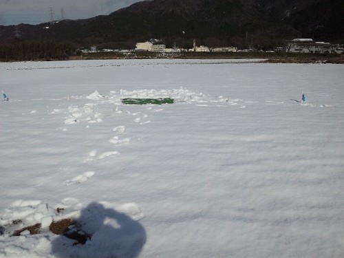 ファイル名: SH3K1446.jpg
ファイルサイズ: 37.6KB SH3K1446