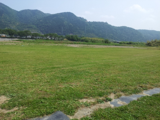 ファイル名: 20120527_101004.jpg
ファイルサイズ: 194.9KB 20120527_101004