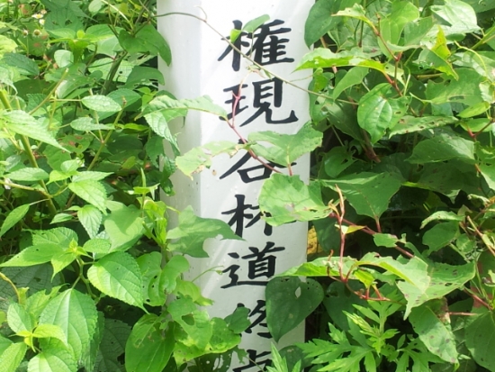 NONALNUM-MjAxMjA3MTRfMDkyMTE2WzFd-E