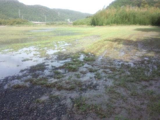 550(W)×413(H) 33.39