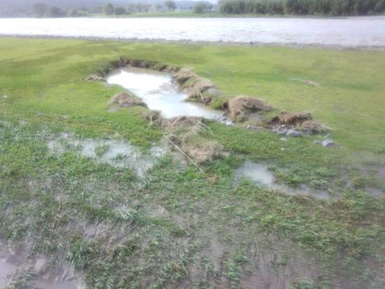 550(W)×413(H) 36.72