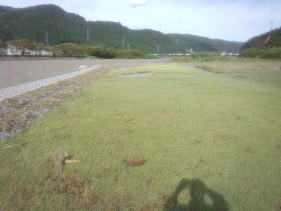 550(W)×413(H) 26.51