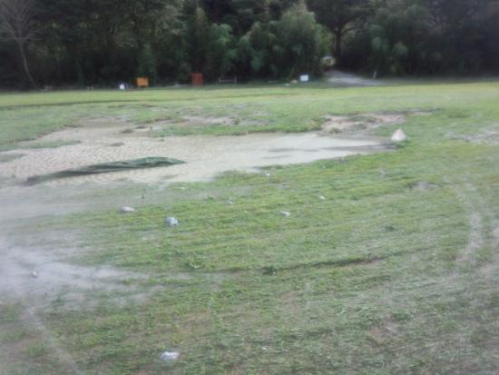 550(W)×413(H) 31.46