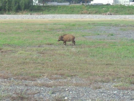 550(W)×413(H) 39.21