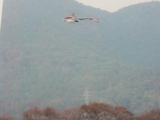 550(W)×413(H) 14.55