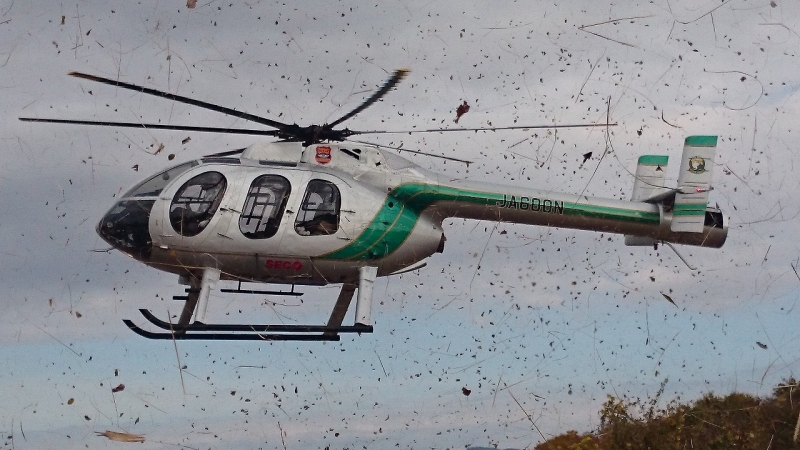 ファイル名: DSC_0466.jpg
ファイルサイズ: 293.1KB DSC_0466