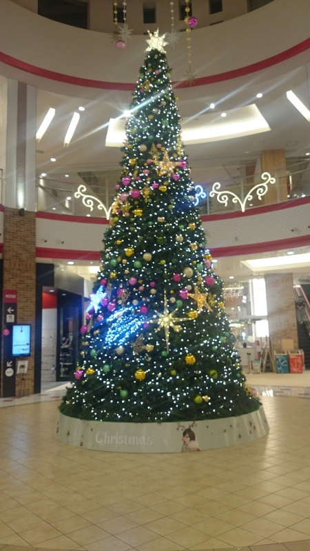 ファイル名: DSC_0528.jpg
ファイルサイズ: 294.8KB DSC_0528