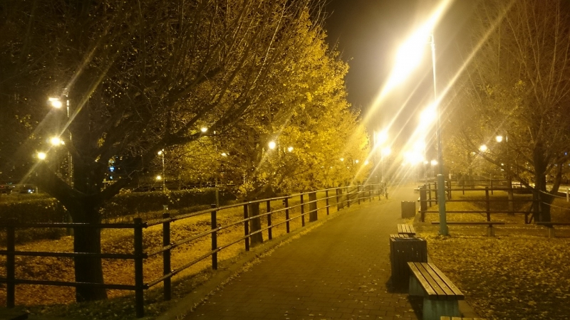 ファイル名: DSC_0529.jpg
ファイルサイズ: 320.8KB DSC_0529