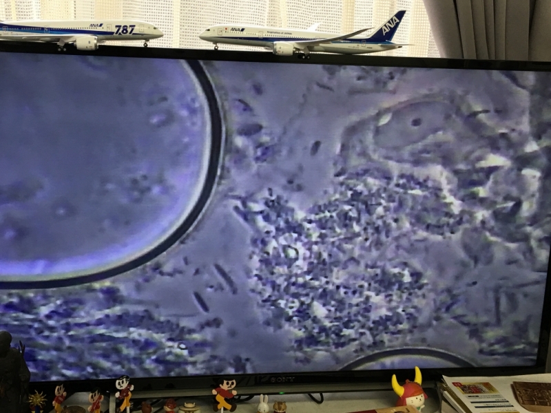 ファイル名: IMG_0561.jpg
ファイルサイズ: 339.2KB IMG_0561