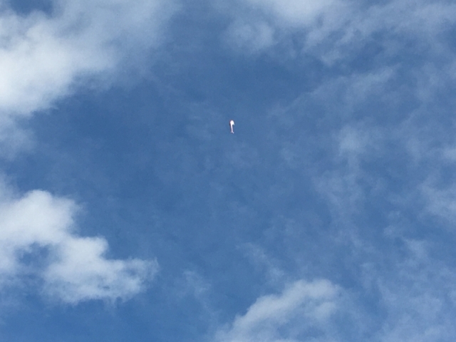 ファイル名: IMG_2705.jpg
ファイルサイズ: 149.6KB IMG_2705