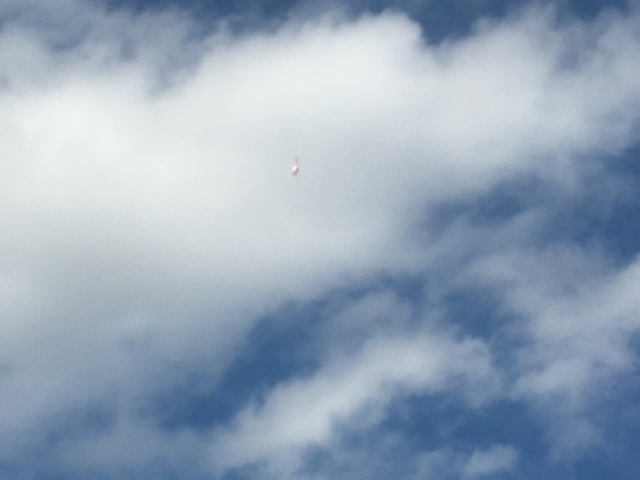 ファイル名: IMG_2707.jpg
ファイルサイズ: 140.1KB IMG_2707