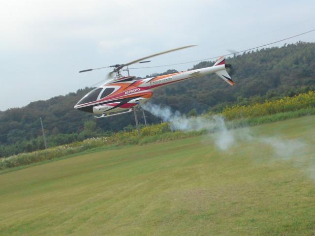 ファイル名: SN3J0259.jpg
ファイルサイズ: 122.3KB
→クリックで元のサイズを表示 SN3J0259