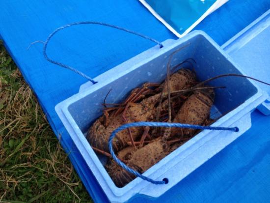 ファイル名: IMG_0147.jpg
ファイルサイズ: 272KB
→クリックで元のサイズを表示 IMG_0147