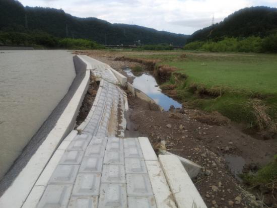 ファイル名: 20120620_175033.jpg
ファイルサイズ: 234.36KB
→クリックで元のサイズを表示 640(W)×480(H) 234.36