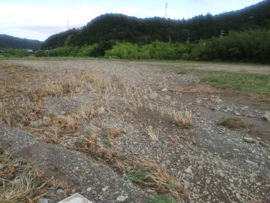 ファイル名: 20120620_175154.jpg
ファイルサイズ: 317.2KB
→クリックで元のサイズを表示 20120620_175154