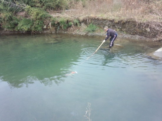 ファイル名: NONALNUM-RFNDXzE5NzlbMV0-E.jpg
ファイルサイズ: 84.9KB
→クリックで元のサイズを表示 NONALNUM-RFNDXzE5NzlbMV0-E