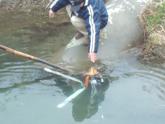 ファイル名: NONALNUM-RFNDXzE5ODBbMV0-E.jpg
ファイルサイズ: 81.9KB
→クリックで元のサイズを表示 NONALNUM-RFNDXzE5ODBbMV0-E