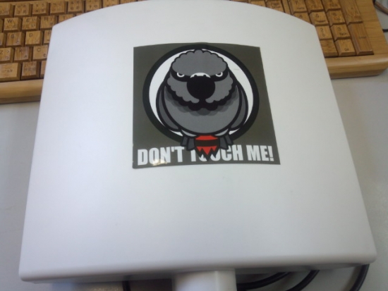 NONALNUM-RFNDXzIzNjZbMV0-E